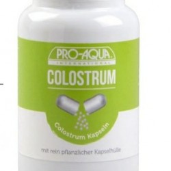 Colostrum “ağız sütü” kolostrum. Kapsülü